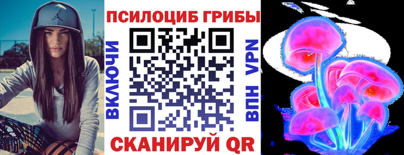 Купить где  Новоаннинский  Галлюциногенные грибы Cubensis 